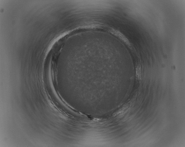 X0000070350724200606231556