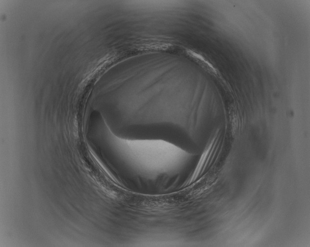 X0000070350729200606231556