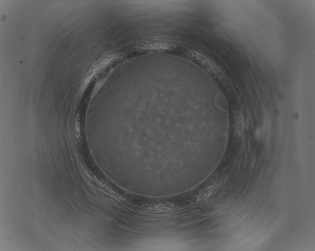 X0000070350731200606231556