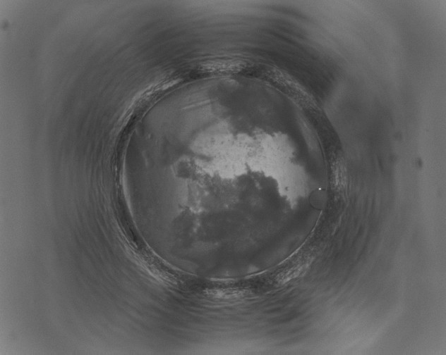 X0000070350733200606231556