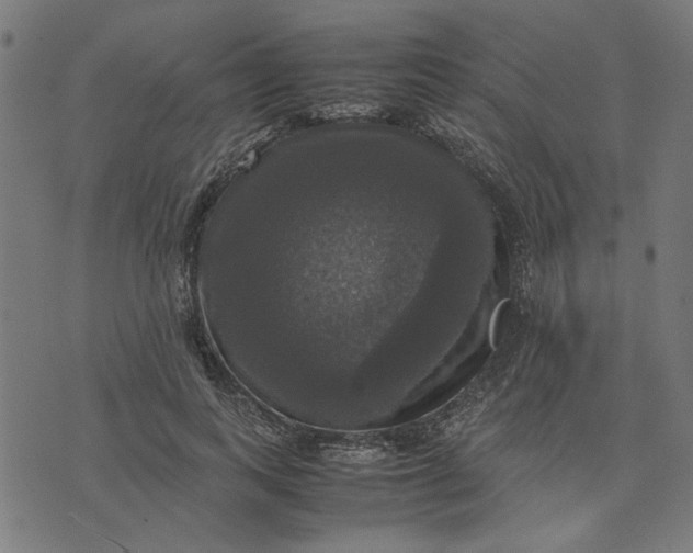 X0000070350743200606231557