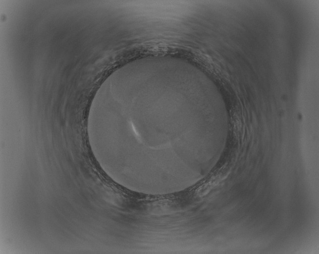 X0000070350769200606231556