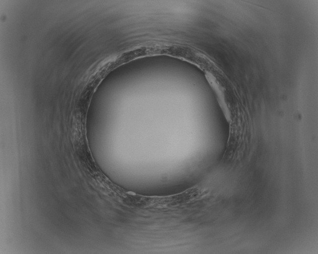 X0000070350773200606231556