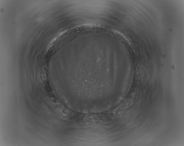 X0000070350776200606231556