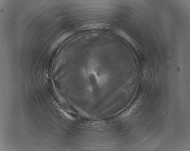 X0000070350778200606231556
