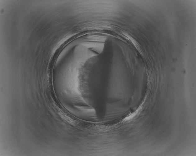 X0000070350779200606231556