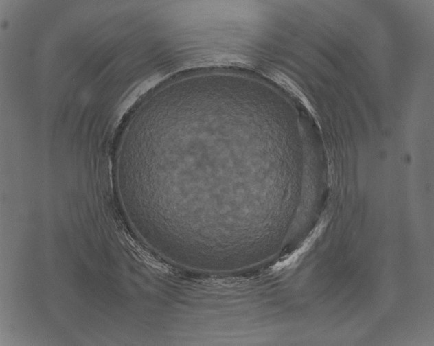 X0000070350781200606231556