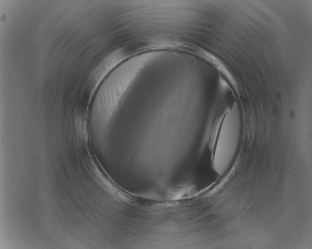 X0000070350810200606231556