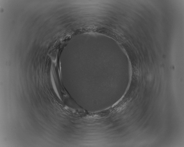 X0000070350818200606231555