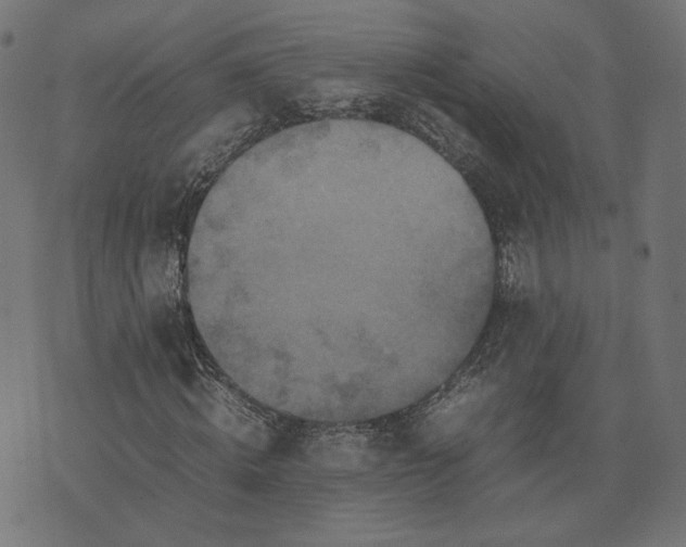 X0000070350820200606231555