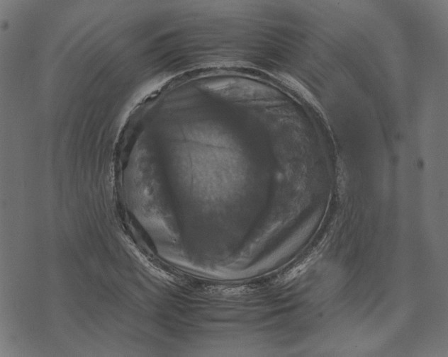 X0000070350831200606231555