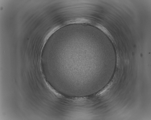 X0000070350850200606231555