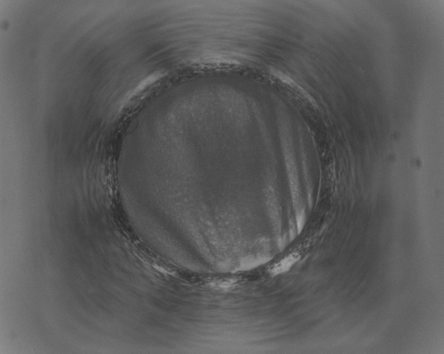 X0000070350870200606231555