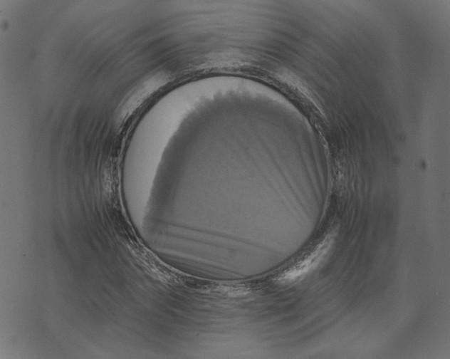 X0000070350874200606231555