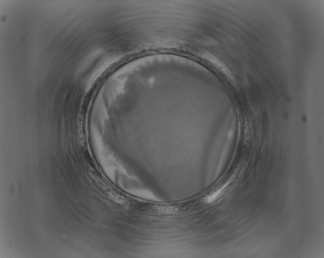 X0000070350878200606231554