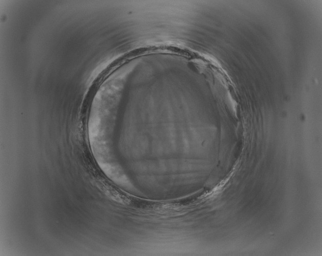 X0000070350879200606231554