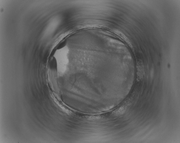 X0000070350890200606231554