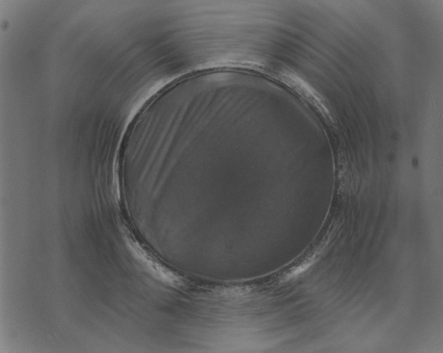 X0000070350892200606231554