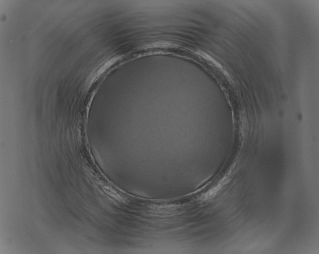 X0000070350921200606231553