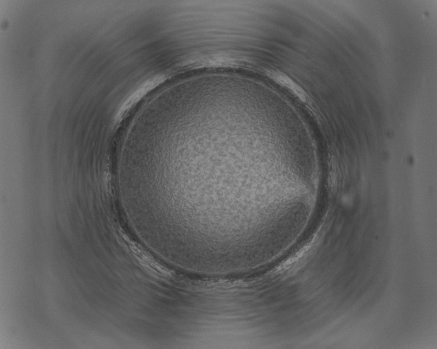 X0000070350922200606231553