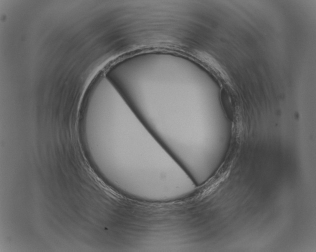 X0000070350924200606231553