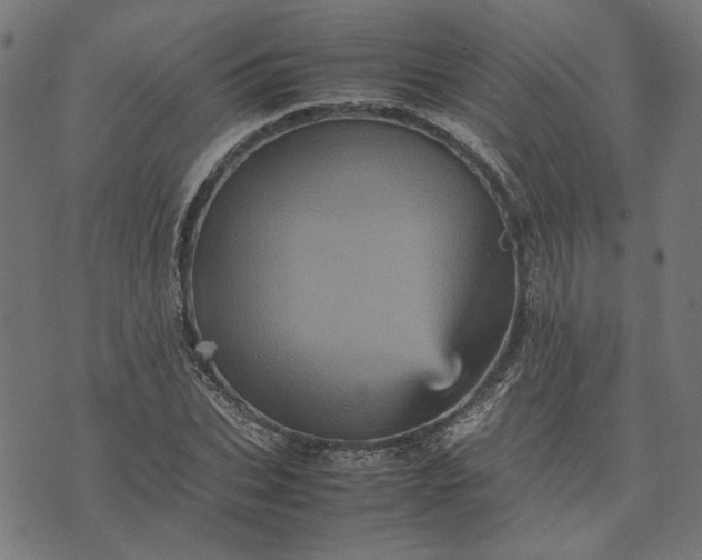 X0000070350927200606231553