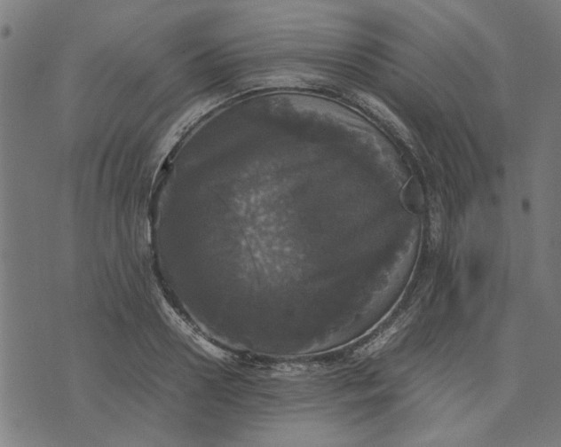 X0000070350938200606231554