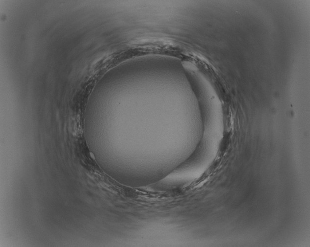 X0000070350965200606231553