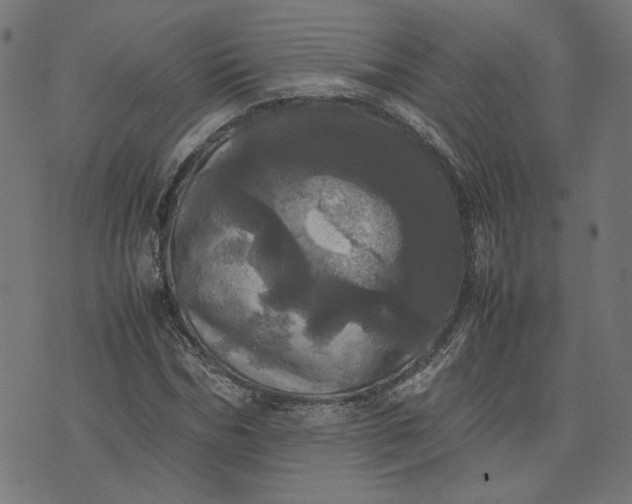 X0000070350970200606231553