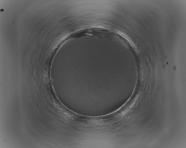 X0000070350977200606231553