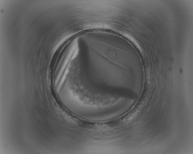 X0000070350983200606231553