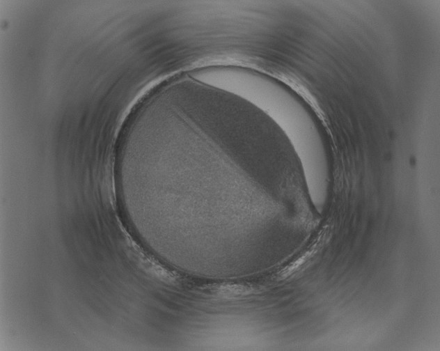 X0000070350984200606231553