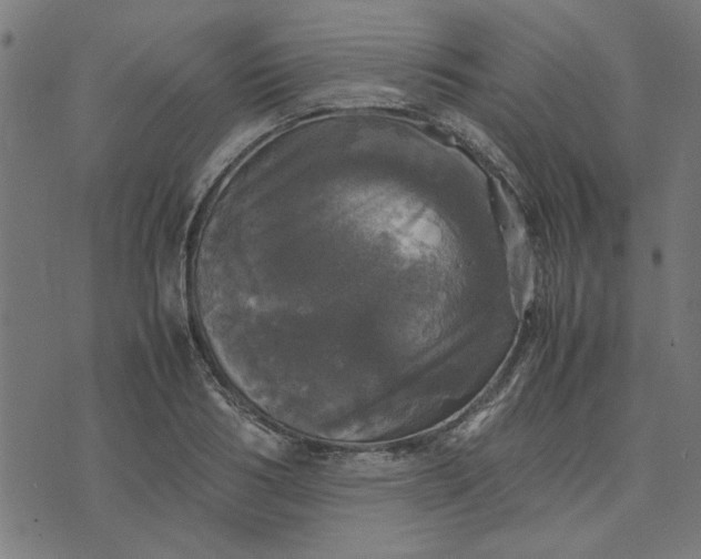 X0000070350986200606231553