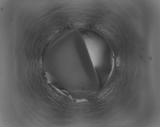 X0000070351011200606231552