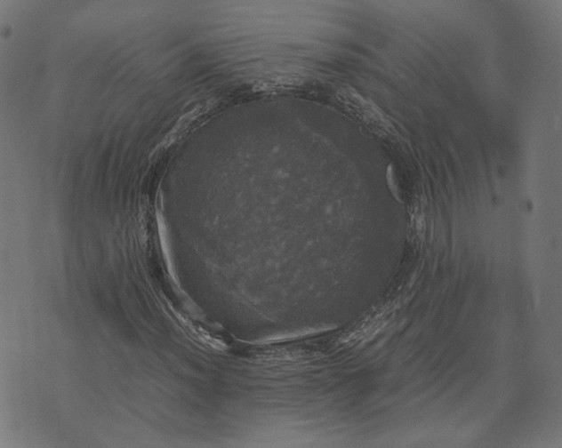 X0000070351012200606231552