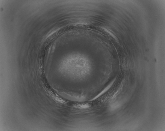 X0000070351015200606231552