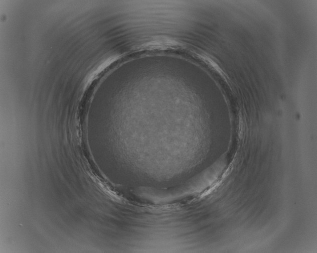 X0000070351018200606231552
