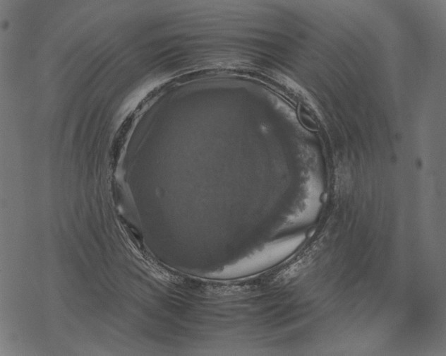 X0000070351019200606231552