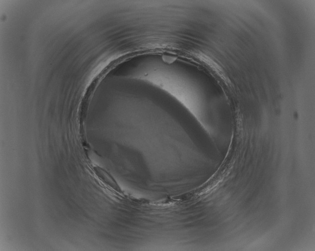 X0000070351023200606231552