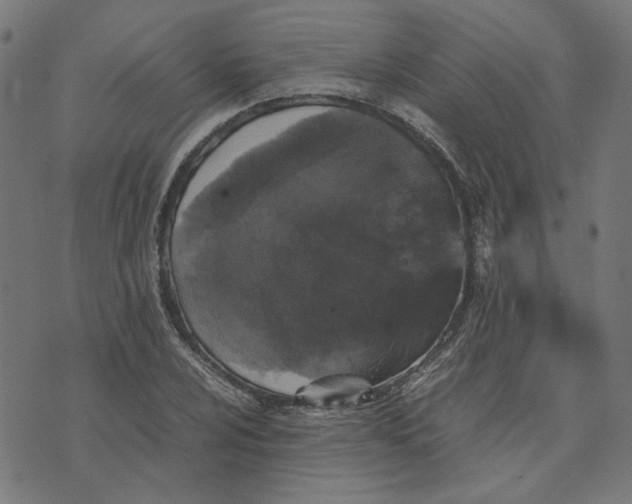X0000070351024200606231552