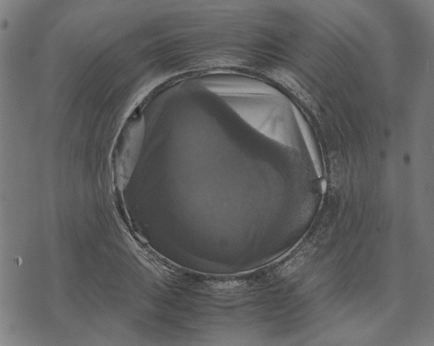 X0000070351031200606231552