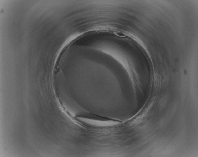 X0000070351045200606231552