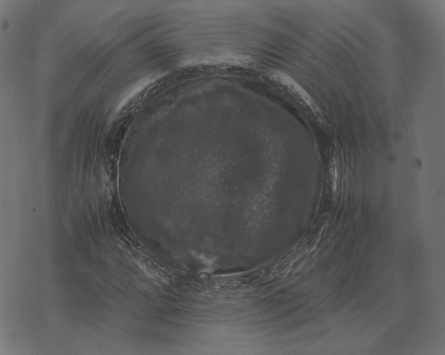 X0000070351064200606231551