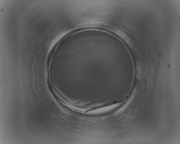 X0000070351077200606231551