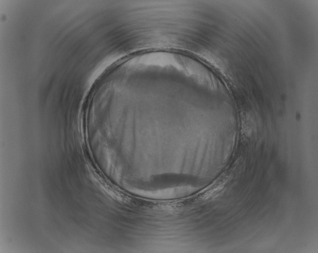 X0000070351078200606231551