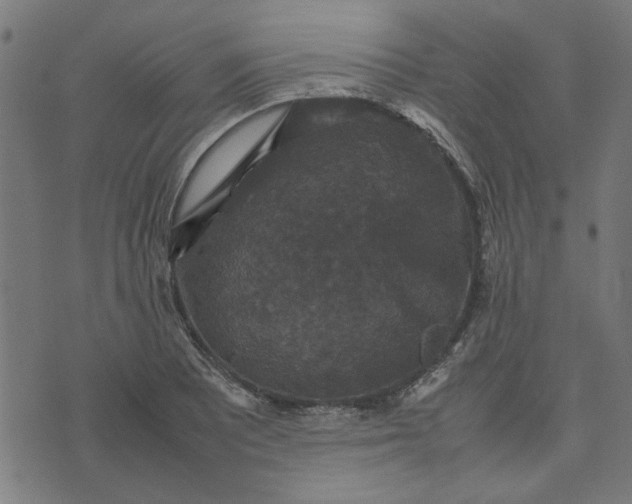 X0000070351081200606231551