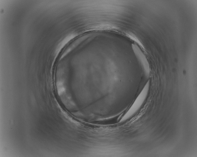 X0000070351087200606231551