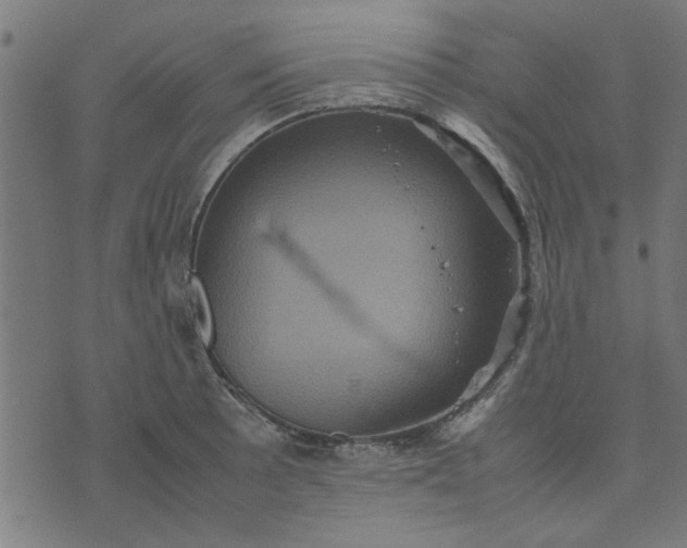 X0000070351089200606231551
