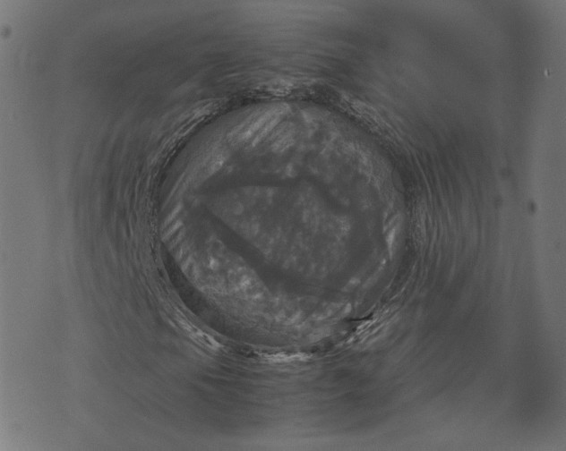 X0000070351105200606231550