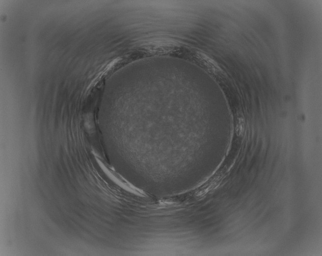X0000070351108200606231550